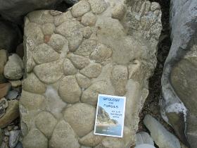 Geologická proxy data o změnách prostředí